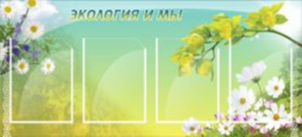 Экология и мы
