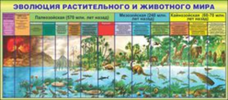 Эволюция растительного и животного мира