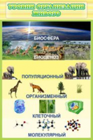 Уровни организации живого