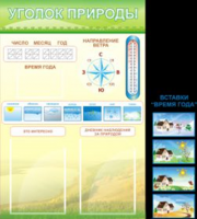 Уголок природы