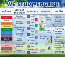 We study english
