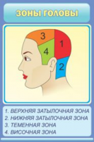 Зоны головы